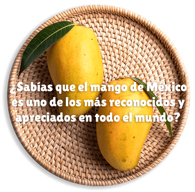 Beneficios del Software